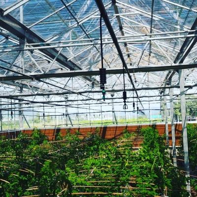 360 градусов перевернутое положение вращающийся распылитель для вращающейся системы орошения газона